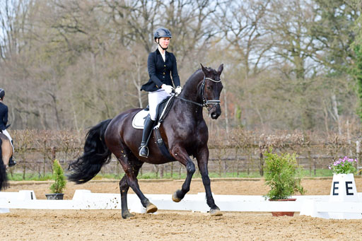 Reitsportzentrum Bremervörde | 10421 Dressur L Tr_397 