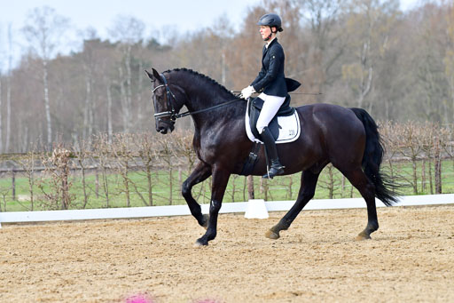 Reitsportzentrum Bremervörde | 10421 Dressur L Tr_399 