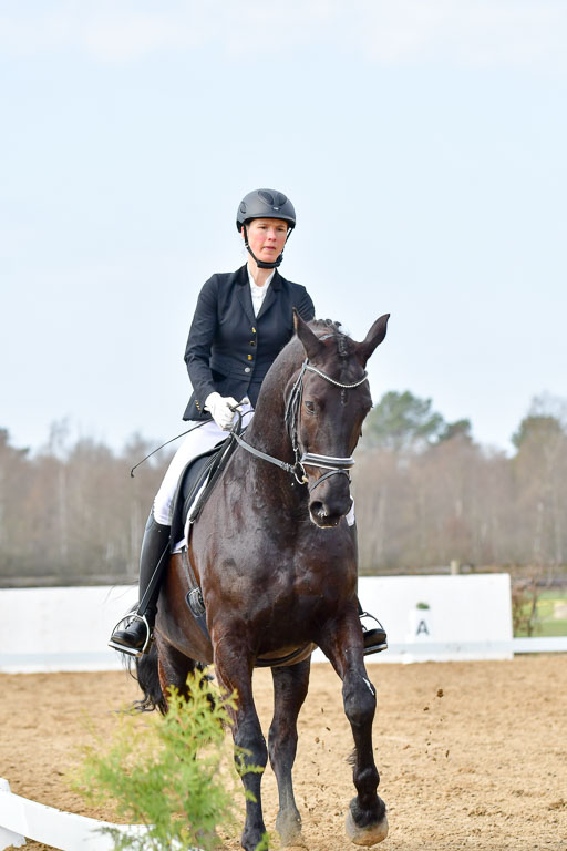 Reitsportzentrum Bremervörde | 10421 Dressur L Tr_401 