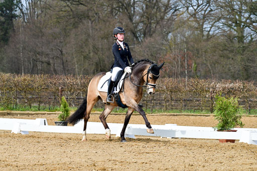 Reitsportzentrum Bremervörde | 10421 Dressur L Tr_407 