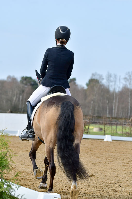 Reitsportzentrum Bremervörde | 10421 Dressur L Tr_415 