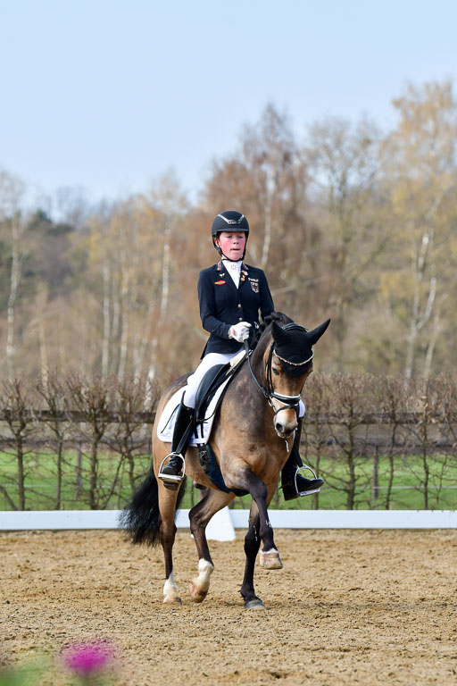 Reitsportzentrum Bremervörde | 10421 Dressur L Tr_416 