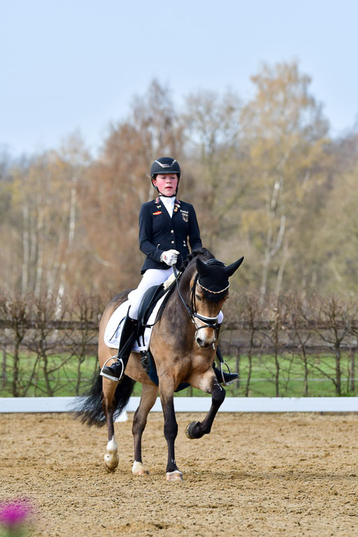 Reitsportzentrum Bremervörde | 10421 Dressur L Tr_417 