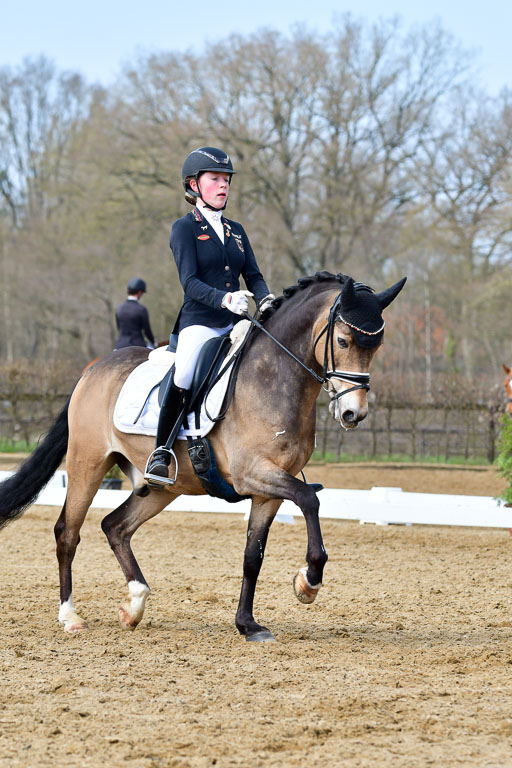 Reitsportzentrum Bremervörde | 10421 Dressur L Tr_419 