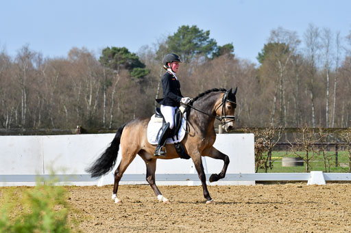 Reitsportzentrum Bremervörde | 10421 Dressur L Tr_421 