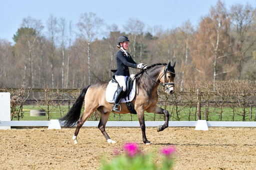 Reitsportzentrum Bremervörde | 10421 Dressur L Tr_422 