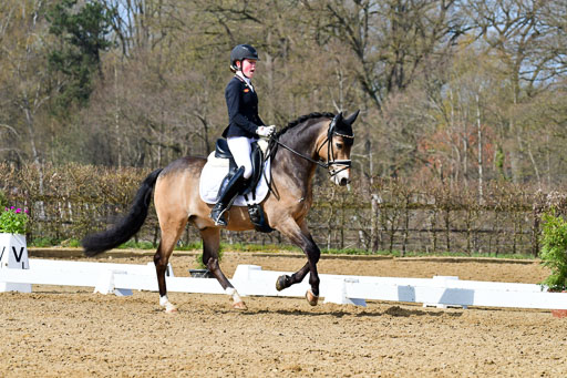 Reitsportzentrum Bremervörde | 10421 Dressur L Tr_423 