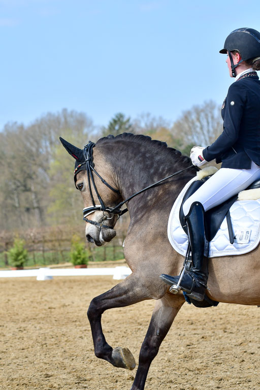 Reitsportzentrum Bremervörde | 10421 Dressur L Tr_424 