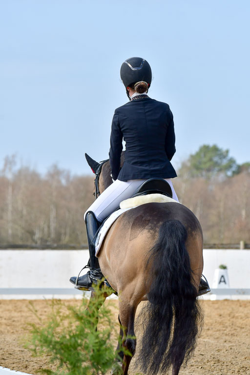 Reitsportzentrum Bremervörde | 10421 Dressur L Tr_425 