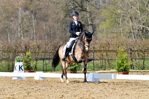 Reitsportzentrum Bremervörde | 10421 Dressur L Tr_426 