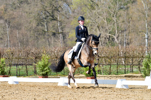 Reitsportzentrum Bremervörde | 10421 Dressur L Tr_427 