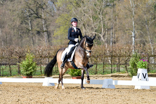 Reitsportzentrum Bremervörde | 10421 Dressur L Tr_428 