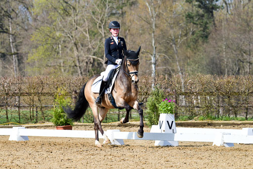 Reitsportzentrum Bremervörde | 10421 Dressur L Tr_429 