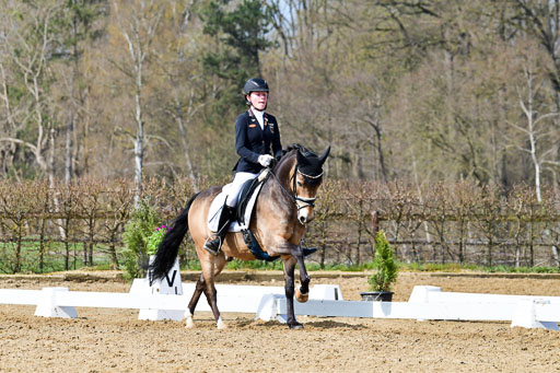 Reitsportzentrum Bremervörde | 10421 Dressur L Tr_432 