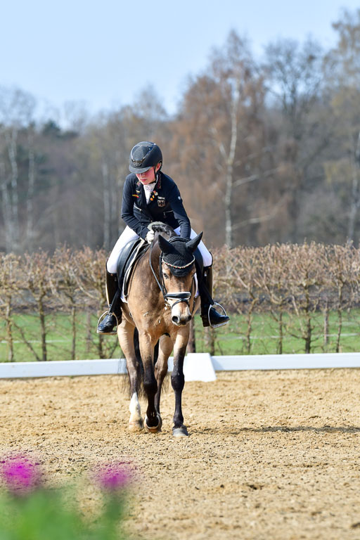 Reitsportzentrum Bremervörde | 10421 Dressur L Tr_440 