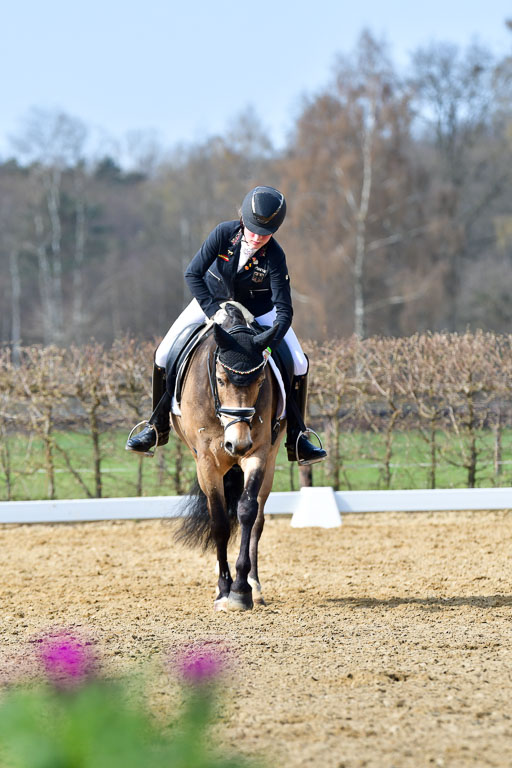 Reitsportzentrum Bremervörde | 10421 Dressur L Tr_441 