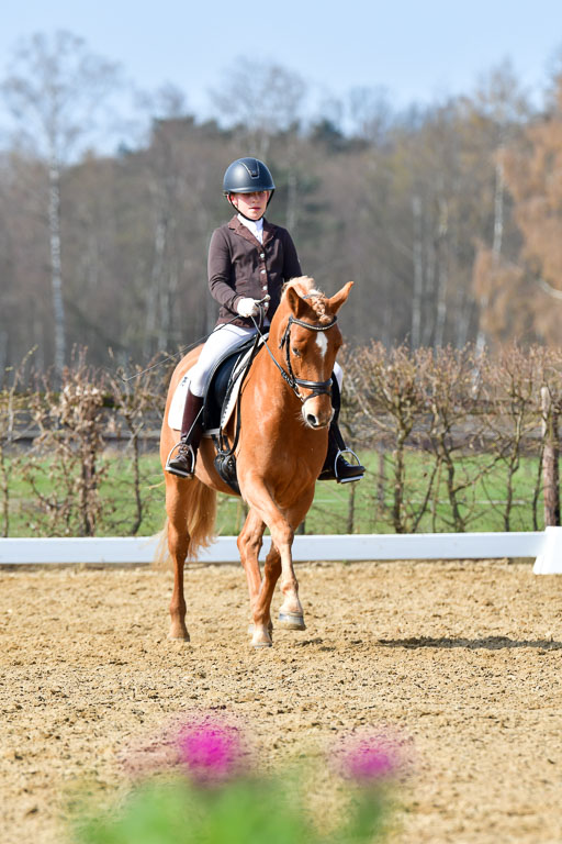 Reitsportzentrum Bremervörde | 10421 Dressur L Tr_445 