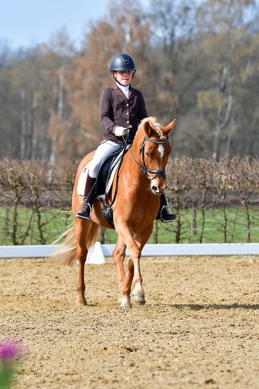 Reitsportzentrum Bremervörde | 10421 Dressur L Tr_446 