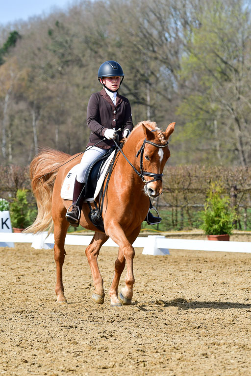 Reitsportzentrum Bremervörde | 10421 Dressur L Tr_447 