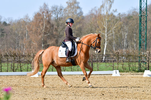 Reitsportzentrum Bremervörde | 10421 Dressur L Tr_451 