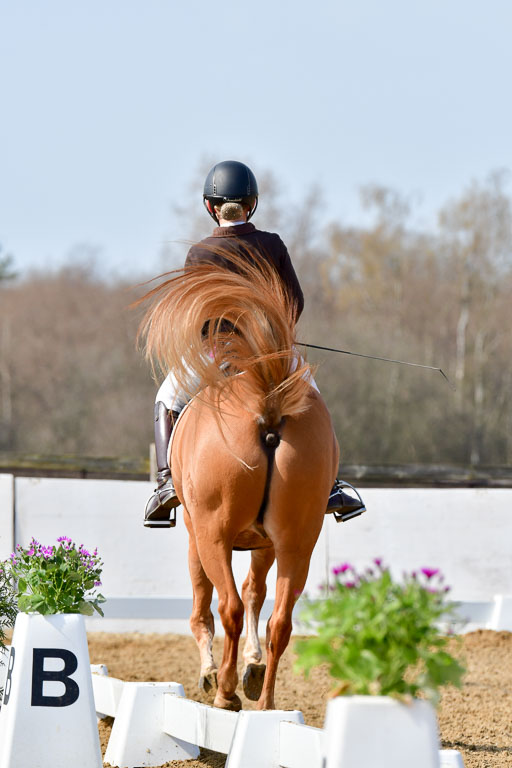 Reitsportzentrum Bremervörde | 10421 Dressur L Tr_452 