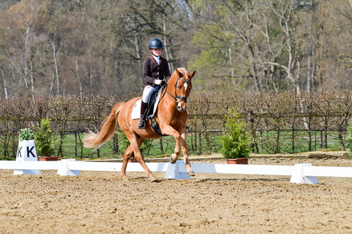 Reitsportzentrum Bremervörde | 10421 Dressur L Tr_454 