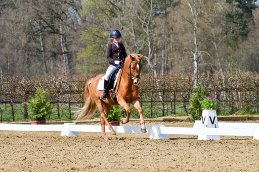 Reitsportzentrum Bremervörde | 10421 Dressur L Tr_455 