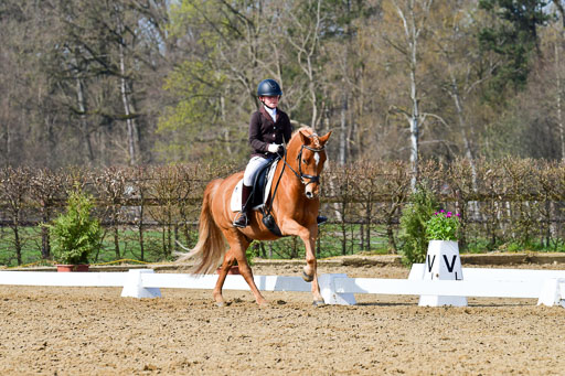 Reitsportzentrum Bremervörde | 10421 Dressur L Tr_456 