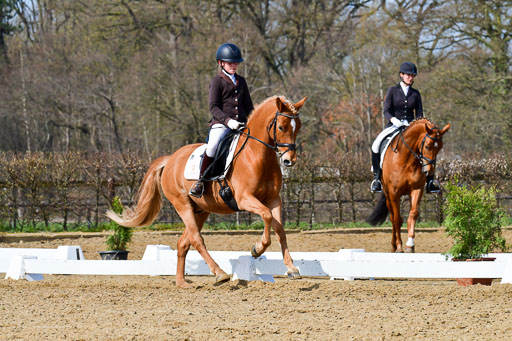 Reitsportzentrum Bremervörde | 10421 Dressur L Tr_457 