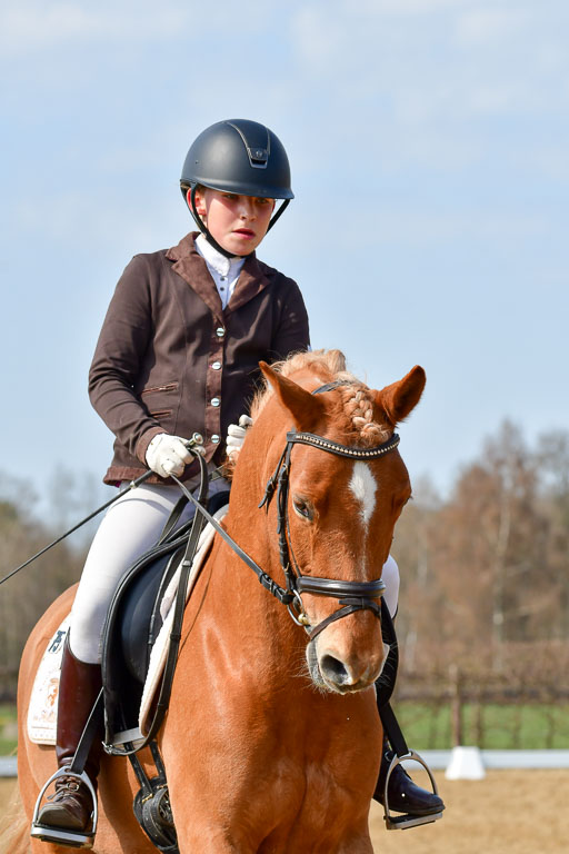 Reitsportzentrum Bremervörde | 10421 Dressur L Tr_459 