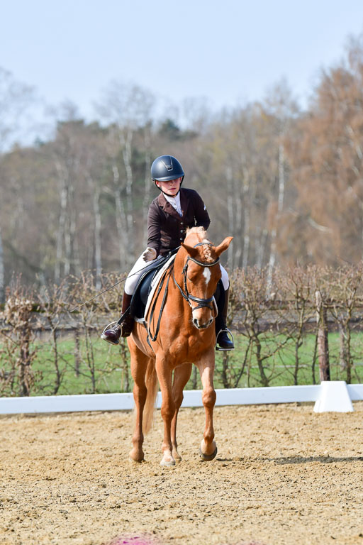 Reitsportzentrum Bremervörde | 10421 Dressur L Tr_461 