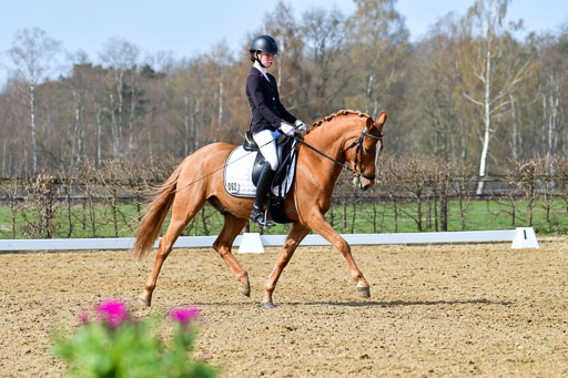 Reitsportzentrum Bremervörde | 10421 Dressur L Tr_463 