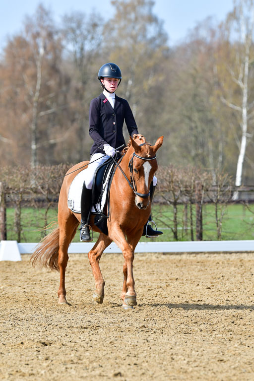 Reitsportzentrum Bremervörde | 10421 Dressur L Tr_465 