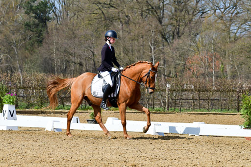 Reitsportzentrum Bremervörde | 10421 Dressur L Tr_466 