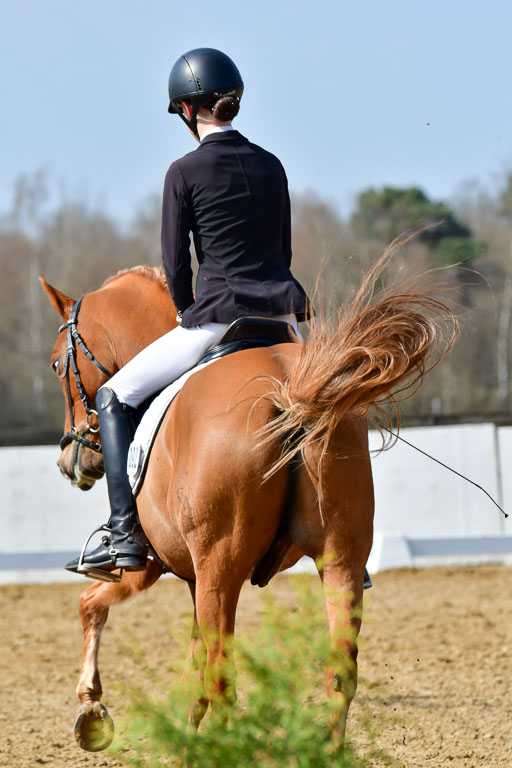 Reitsportzentrum Bremervörde | 10421 Dressur L Tr_467 