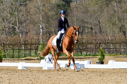 Reitsportzentrum Bremervörde | 10421 Dressur L Tr_469 