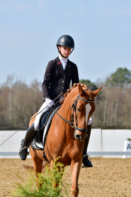 Reitsportzentrum Bremervörde | 10421 Dressur L Tr_471 