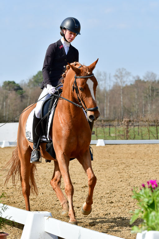 Reitsportzentrum Bremervörde | 10421 Dressur L Tr_472 