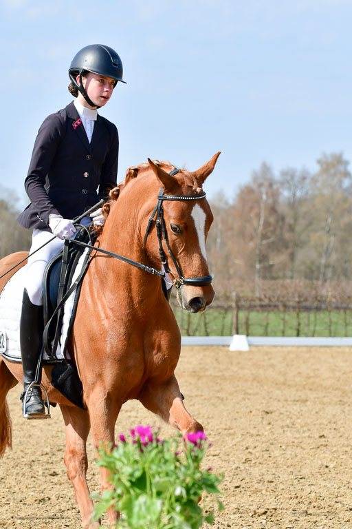 Reitsportzentrum Bremervörde | 10421 Dressur L Tr_473 