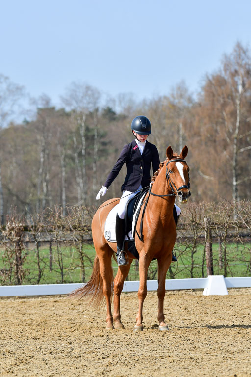 Reitsportzentrum Bremervörde | 10421 Dressur L Tr_474 