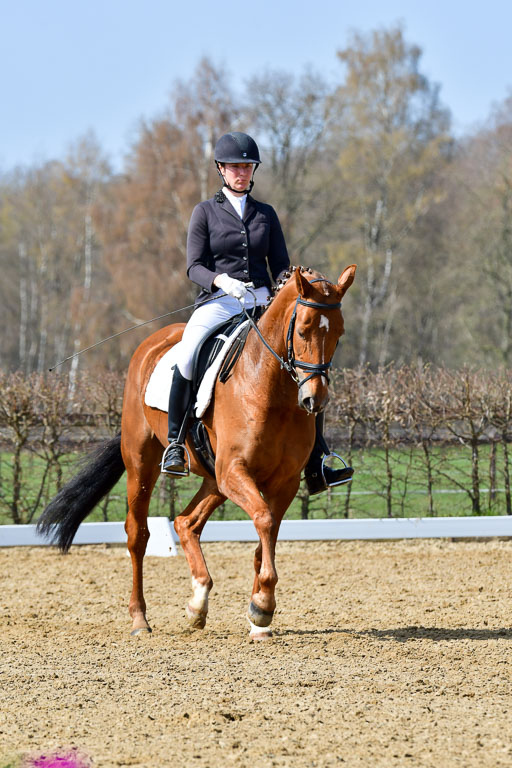 Reitsportzentrum Bremervörde | 10421 Dressur L Tr_476 