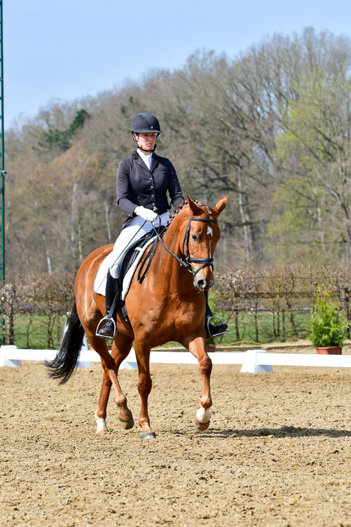 Reitsportzentrum Bremervörde | 10421 Dressur L Tr_477 