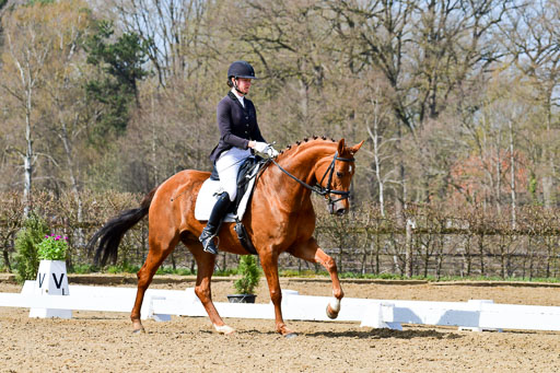 Reitsportzentrum Bremervörde | 10421 Dressur L Tr_478 