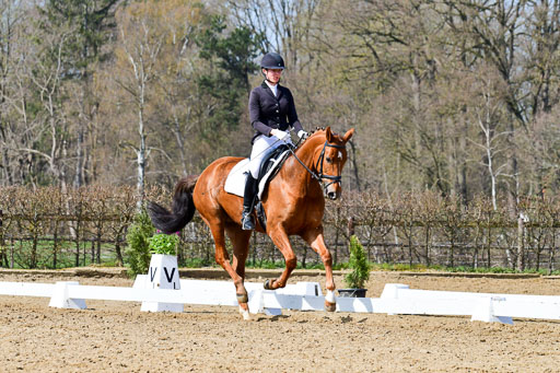 Reitsportzentrum Bremervörde | 10421 Dressur L Tr_482 