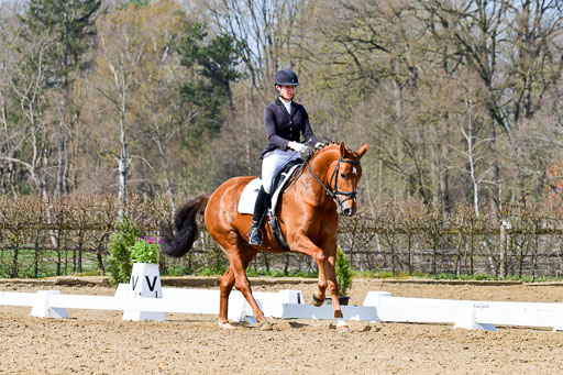 Reitsportzentrum Bremervörde | 10421 Dressur L Tr_483 