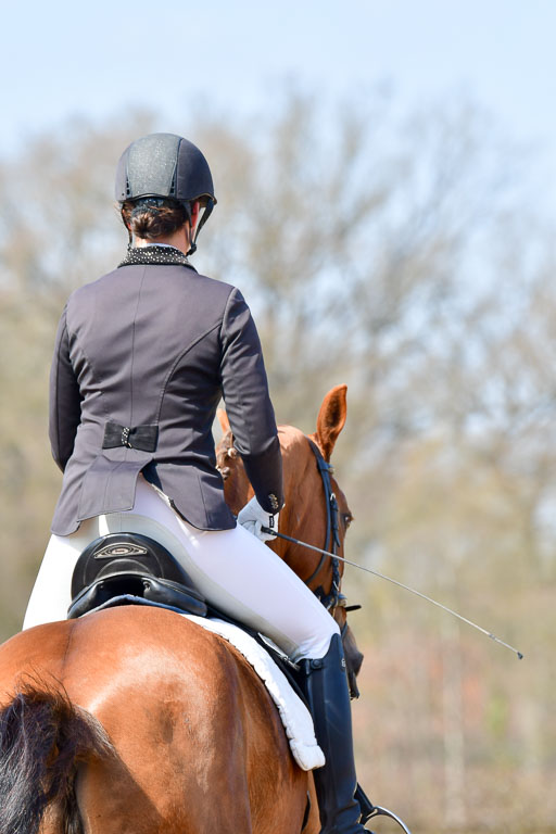 Reitsportzentrum Bremervörde | 10421 Dressur L Tr_484 