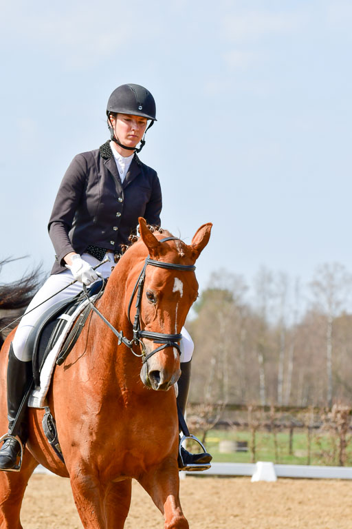 Reitsportzentrum Bremervörde | 10421 Dressur L Tr_486 