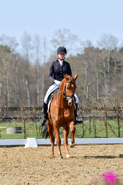 Reitsportzentrum Bremervörde | 10421 Dressur L Tr_487 