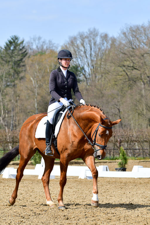 Reitsportzentrum Bremervörde | 10421 Dressur L Tr_488 