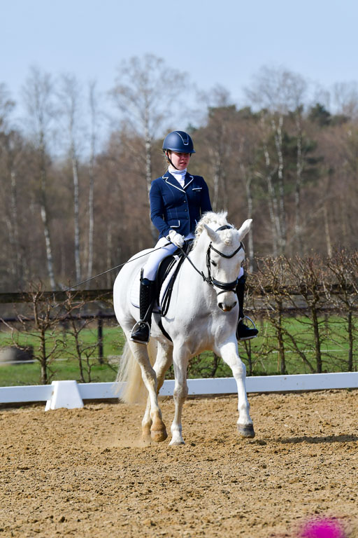 Reitsportzentrum Bremervörde | 10421 Dressur L Tr_491 